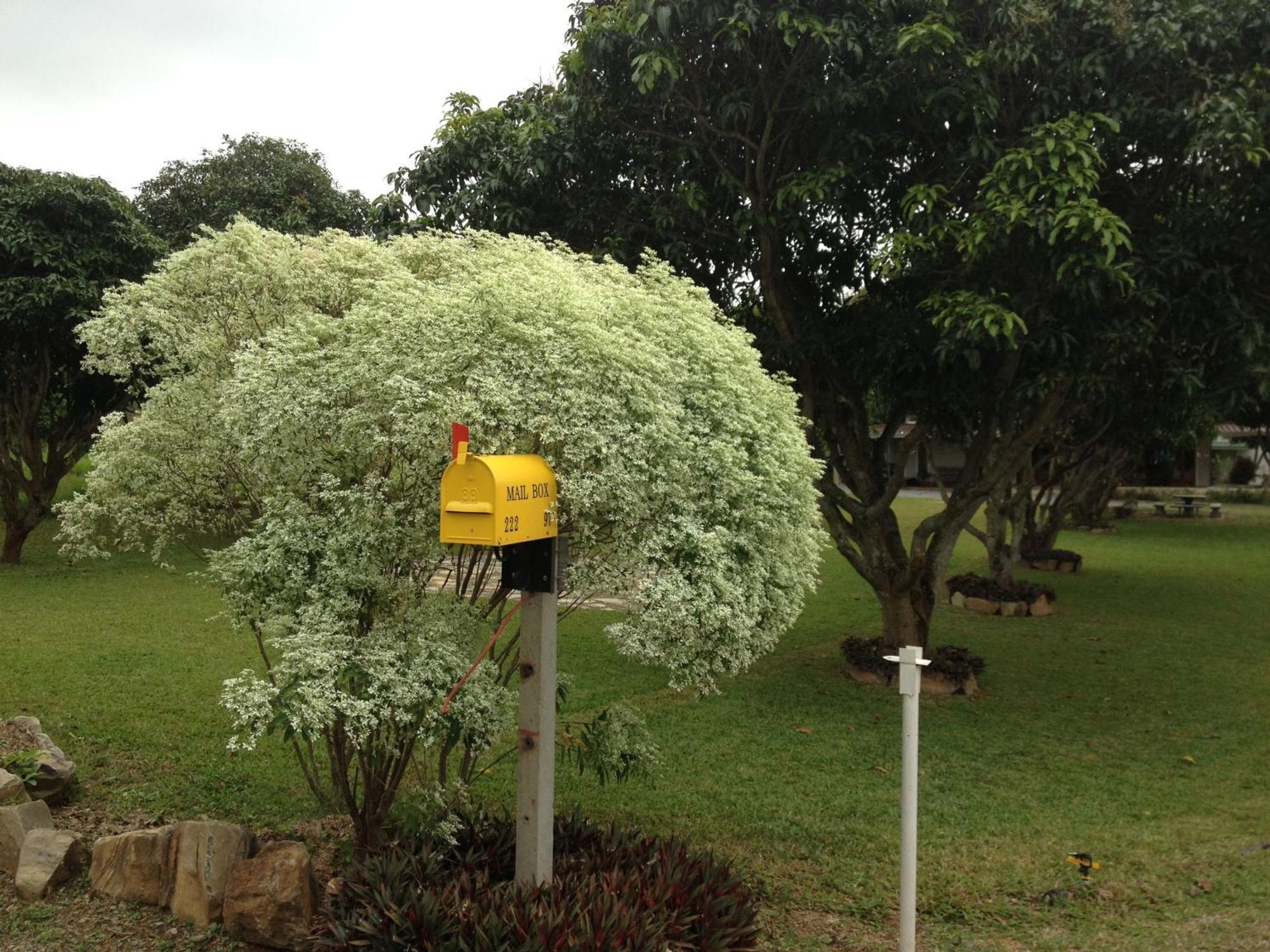 Jardin De Mangue Pakchong Pak Chong Exterior foto